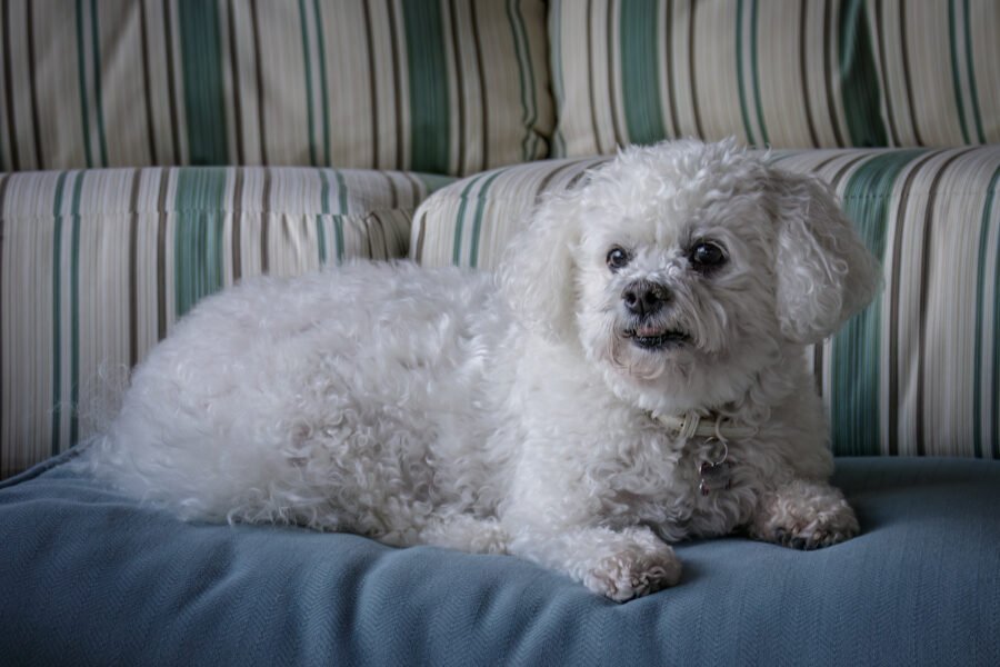 Gabby On Outdoor Furniture