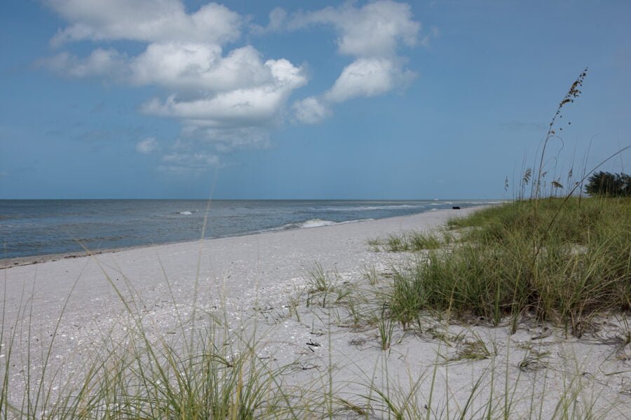 Grassy Dunes On Turner Beach Captiva Island