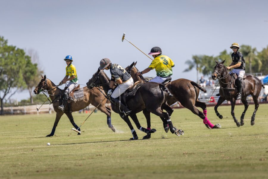 Group Of Polo Players Reaching For Ball