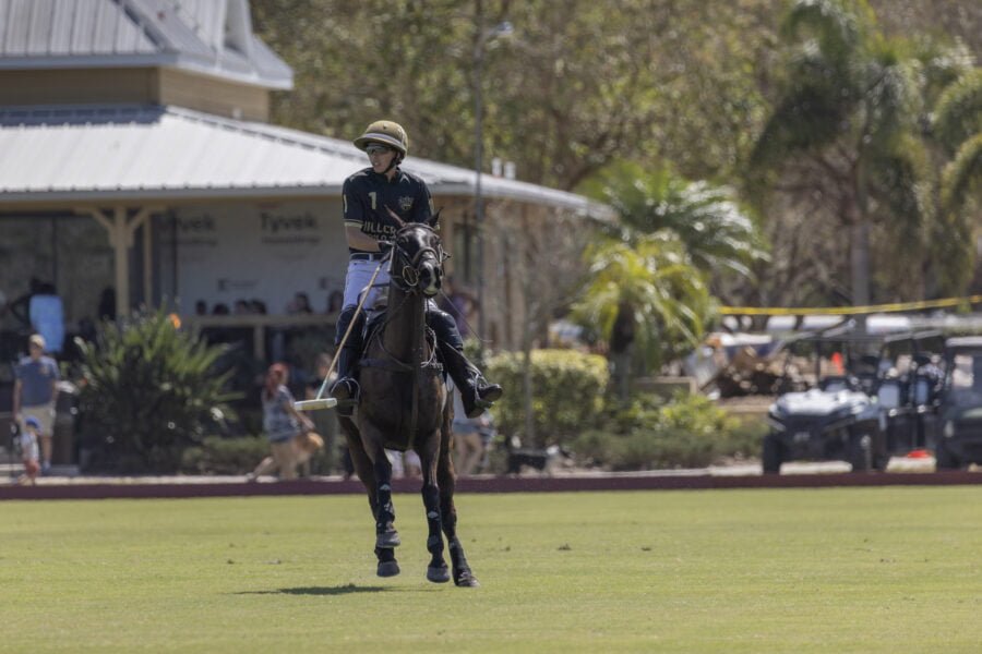 Polo Player And Pony Resting During Break