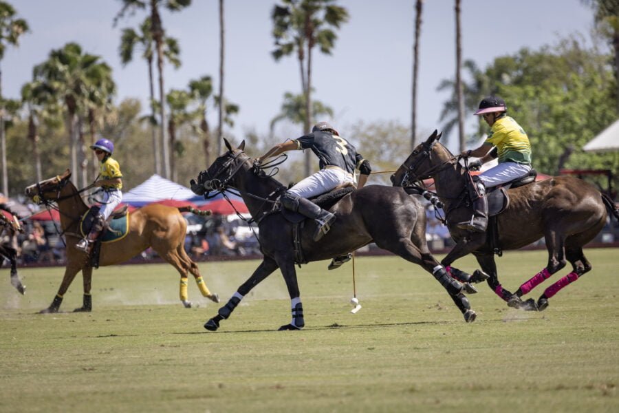 Polo Player Circling And Scooping Up Ball