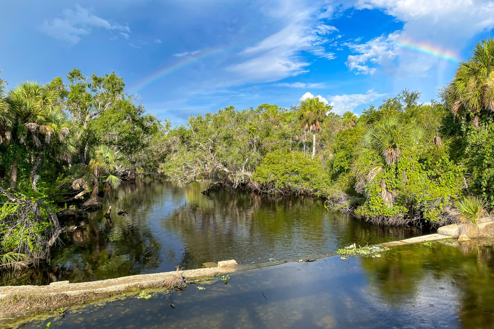 Broken Rainbow Over Myakka River