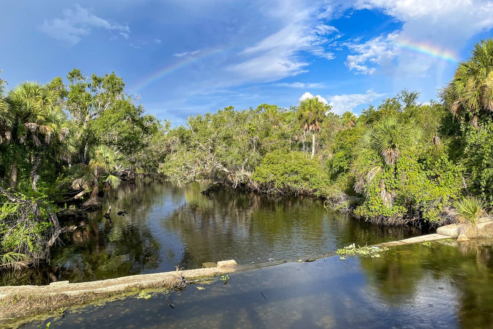 Broken Rainbow Over Myakka River