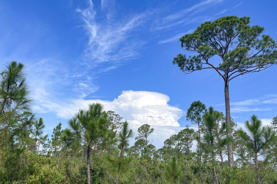 Cumulonimbus Cloud Rising Into Blue Sky