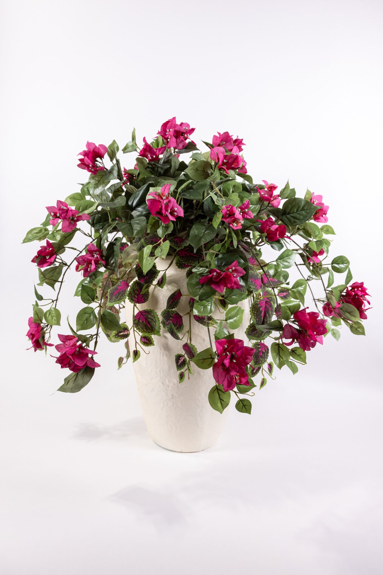 Large White Pot With Deep Pink Bougainvillea