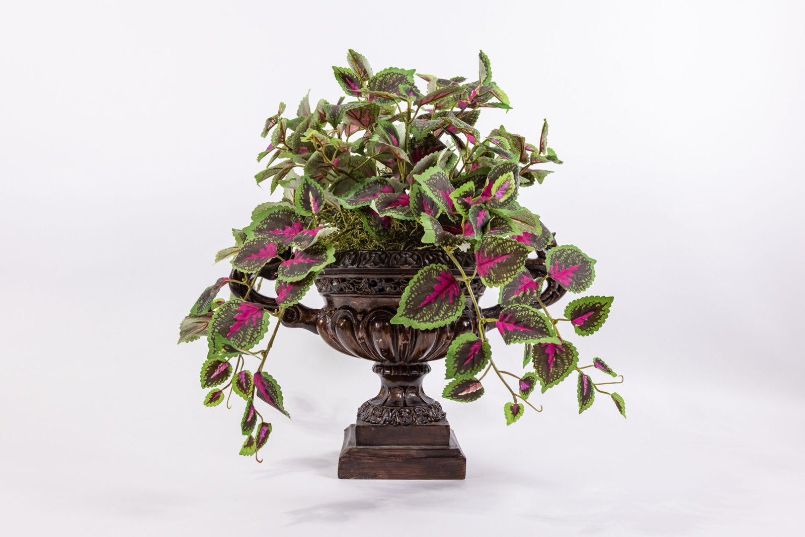 Pedestal Vase With Coleus Leaves