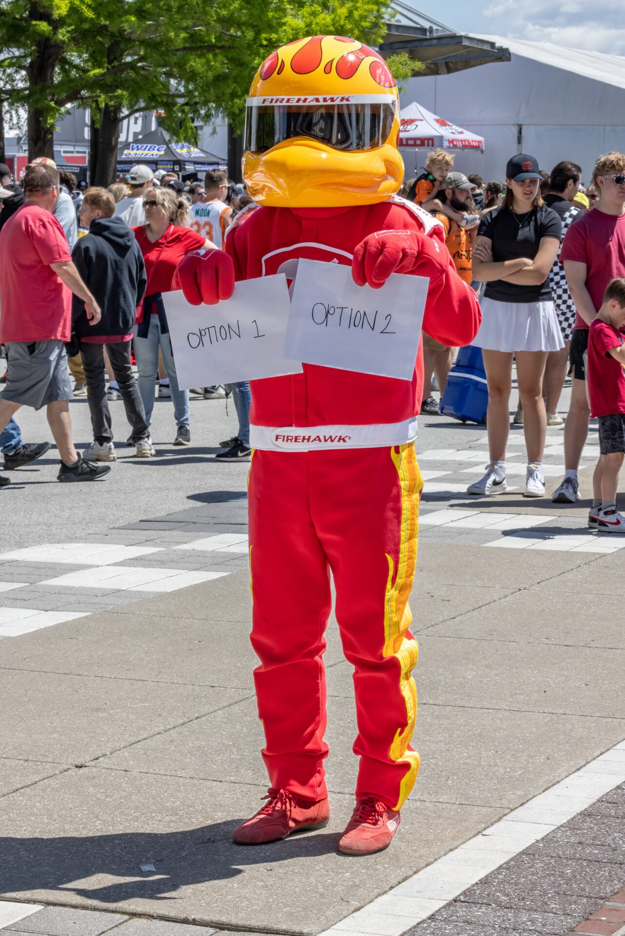 Firestone Firehawk At Indianapolis